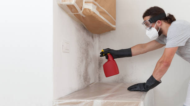 Professional Bathroom Mold Removal technician working in Pine Level, NC